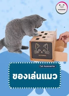 ของเล่นแมว