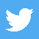 Twitter Icon